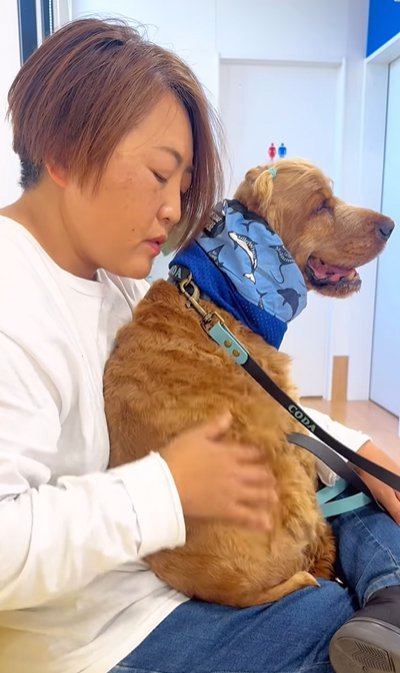 病院へ検査に来た犬