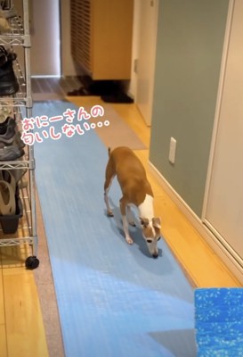 作業員さんを必死で探します