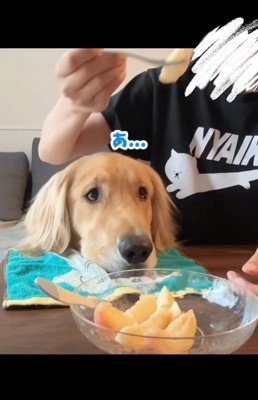 桃を食べるコロッケくん7