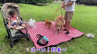 早速レジャーシートの上へ