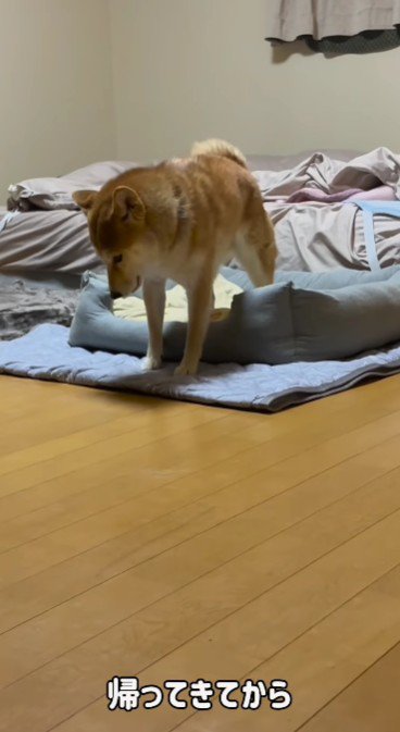 背中を上へと押し上げて…