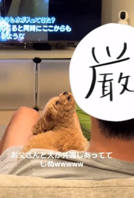 おちょぼ口のあられちゃん