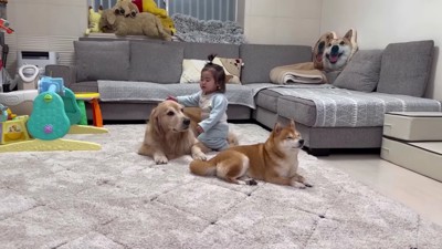 おからちゃんに近づいて…