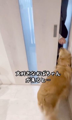 おばちゃんに会えて大興奮のリサちゃん2