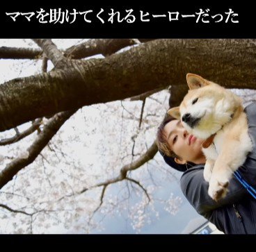 頼もしいヒーロー