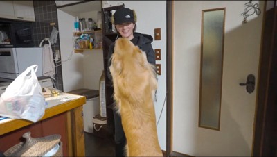 帰宅した女性に飛びつく犬