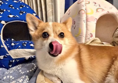 あざと可愛い