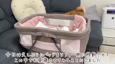 ほのかちゃんが泣いたら…