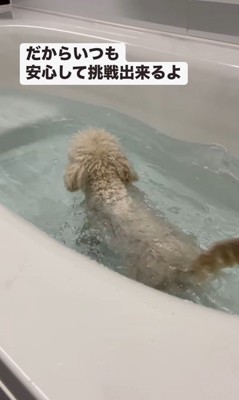 泳ぎにチャレンジするロコちゃん⑩