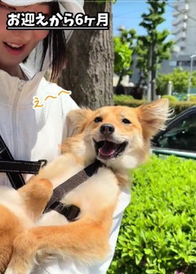 仰向けで抱っこ♡