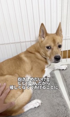 この日の雷は怖かった