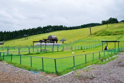 自然の中のドッグラン