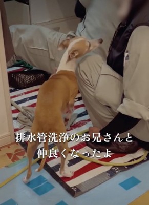2年前、作業員さんとの出会い