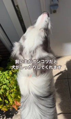 「もうパパってば、しょうがないなぁ…」