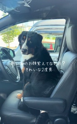 二度見するはくちゃん