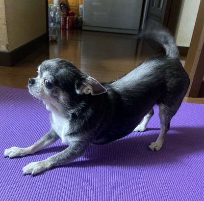 のび