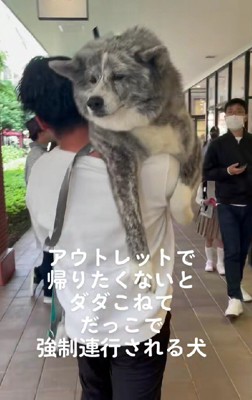 アウトレットに遊びに来た