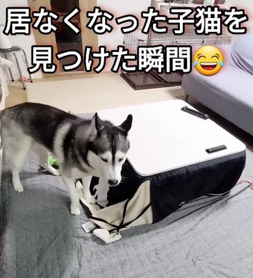 「もしかして家出…？」