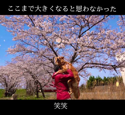 どこでも外出できるように♪