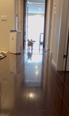 武蔵くんを呼んだ時の態度の差7