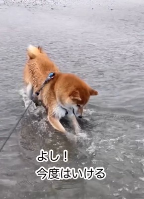 石が取れそうな海くん