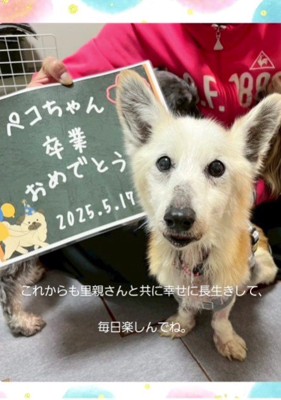 これからも幸せにね!