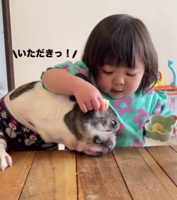 落とした分を食べちゃった！！