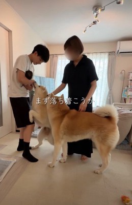 熱烈なお出迎え