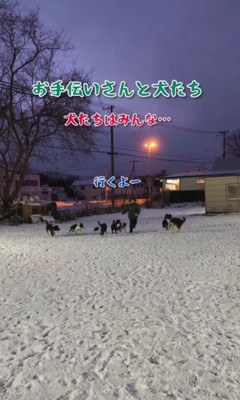 全員が付いていく♪