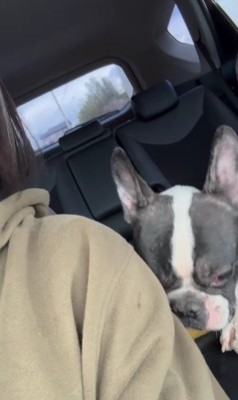 シャンプーをして綺麗に