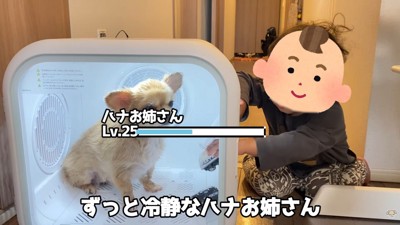 もう1個おもちゃを入れてくれました