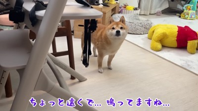 雷の音が聞こえる…