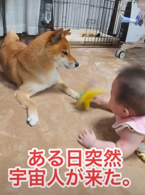 赤ちゃんを受け入れられない…