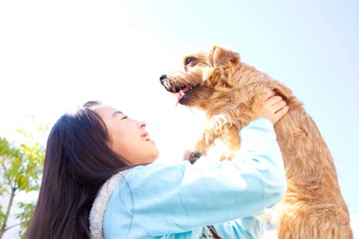 犬を抱き上げる