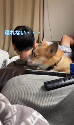 体調不良の男の子に付き添うチリちゃん9