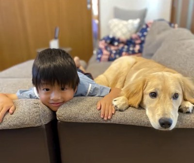 ソファで並ぶ犬と人