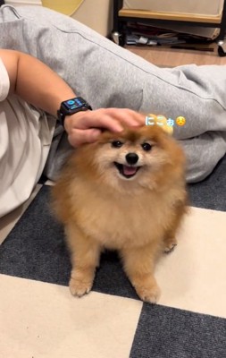 撫でられるうにくん