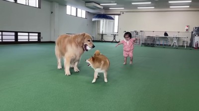3人でフリータイム♡