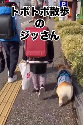 トボトボと歩いていた