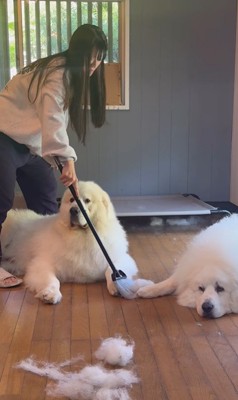 掃除中のグラくん&ダンボくん5