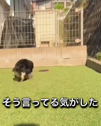 鈴ちゃんと家族の絆に感動