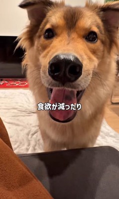 ママさん旅行中のラッキーくん6