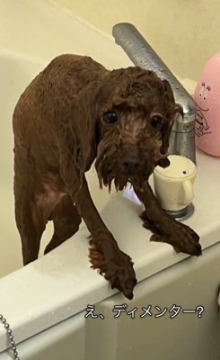 え？モンスター…？