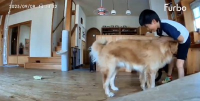 愛情いっぱいだね