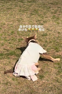 ちょっぴり疲れたかな?