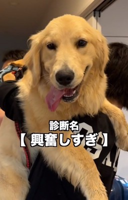 興奮しすぎだったちあちゃん