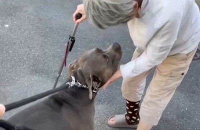 杖をついて歩くおばあちゃん