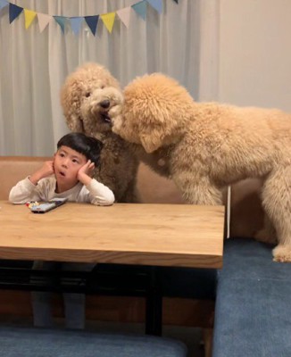 激しくワンプロを始めても…