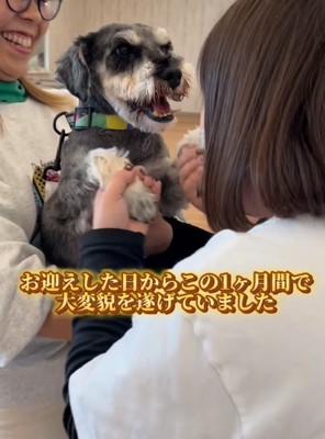 抱っこされている犬