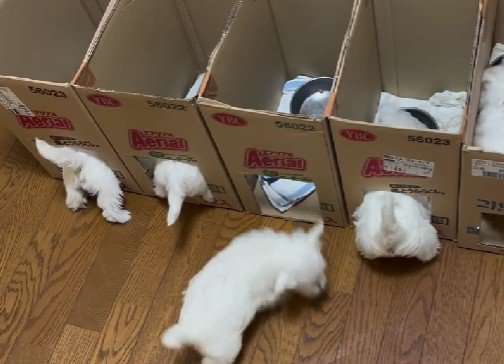 ルールを守らない客も